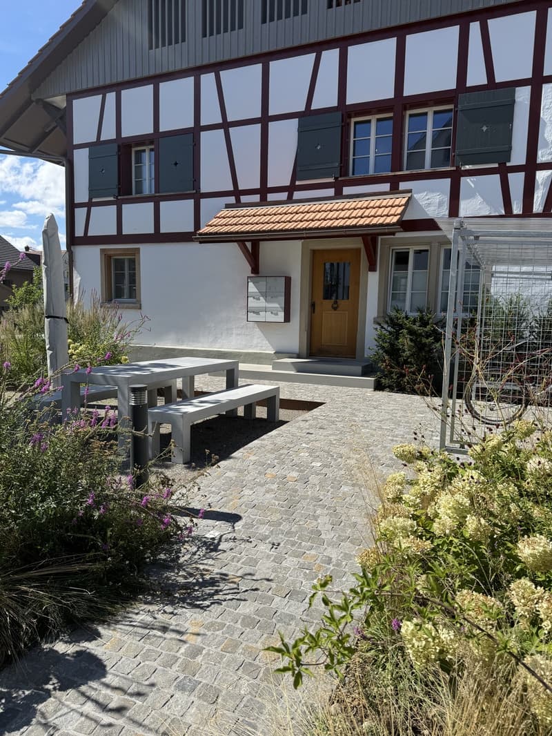 Moderne Wohnung in Volketswil (2)