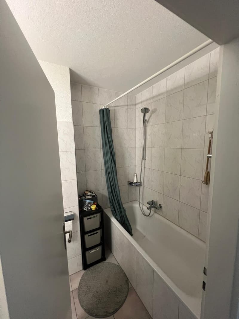 Schöne, helle 3.5-Zimmer-Wohnung an toller Lage Nachmieter per 01.10.2026 gesucht (6)