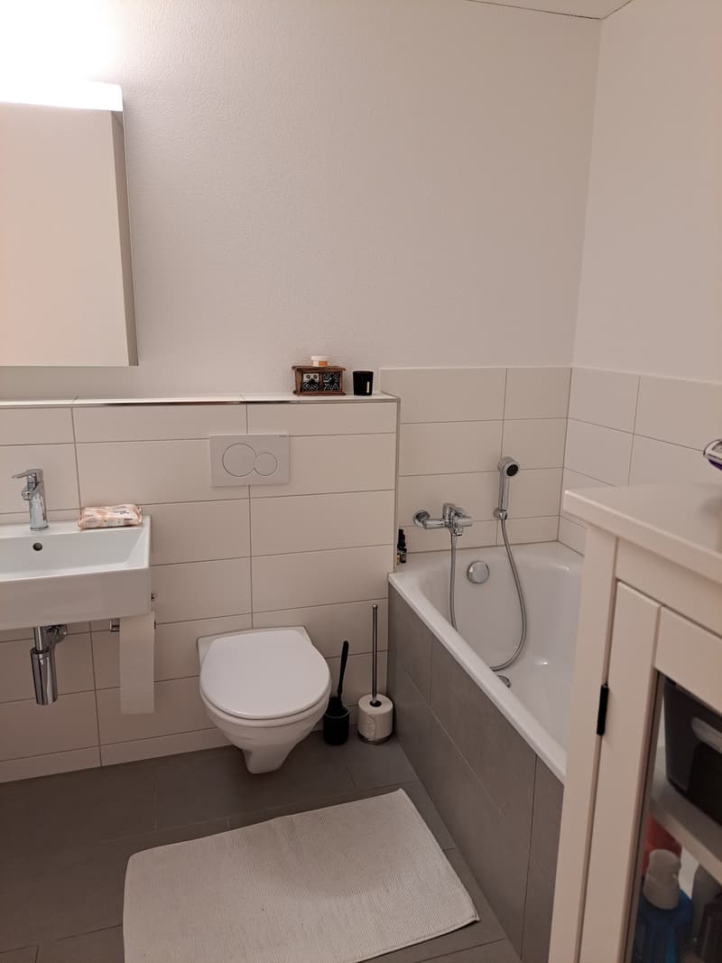 *Schöne, helle 3.5 Zimmer-Wohnung in Bettwiesen (TG) mit zwei sonnigen Balkonen* (8)