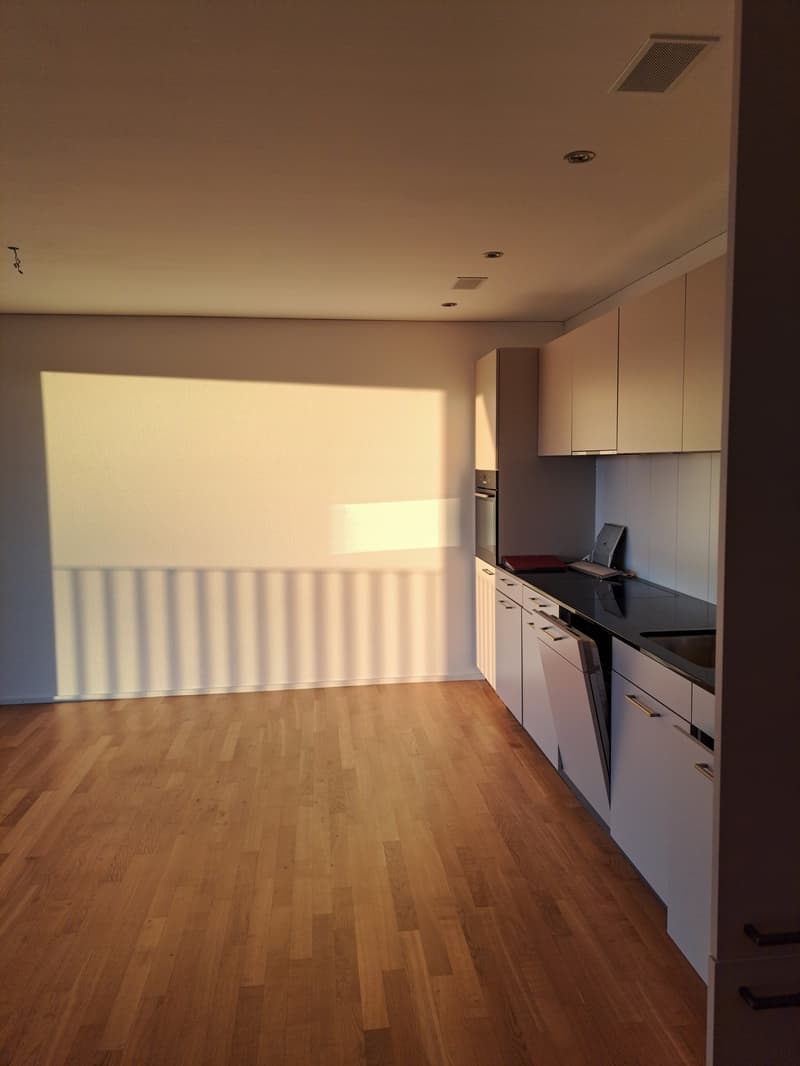 *Schöne, helle 3.5 Zimmer-Wohnung in Bettwiesen (TG) mit zwei sonnigen Balkonen* (1)