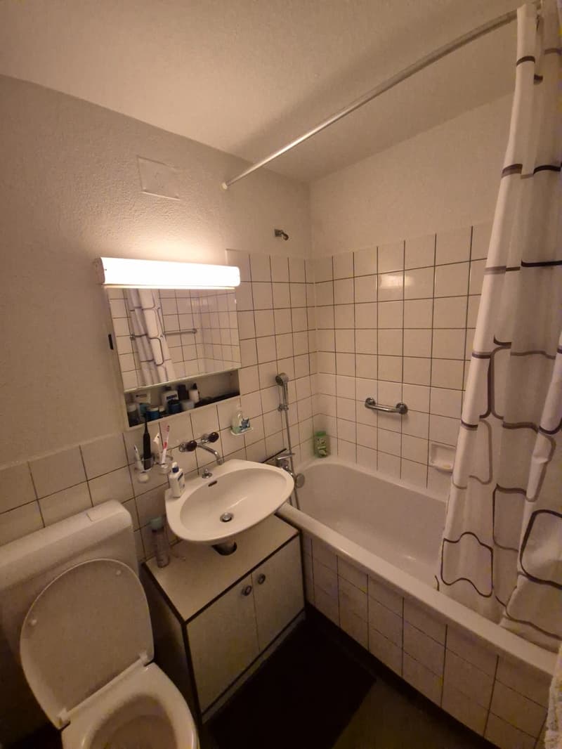 Helle 2.5-Zimmer-Wohnung mit Balkon in Adliswil  möbliert (9)