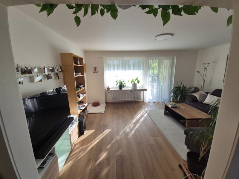 Helle 2.5-Zimmer-Wohnung mit Balkon in Adliswil  möbliert (2)