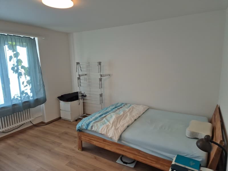 Helle 2.5-Zimmer-Wohnung mit Balkon in Adliswil  möbliert (12)