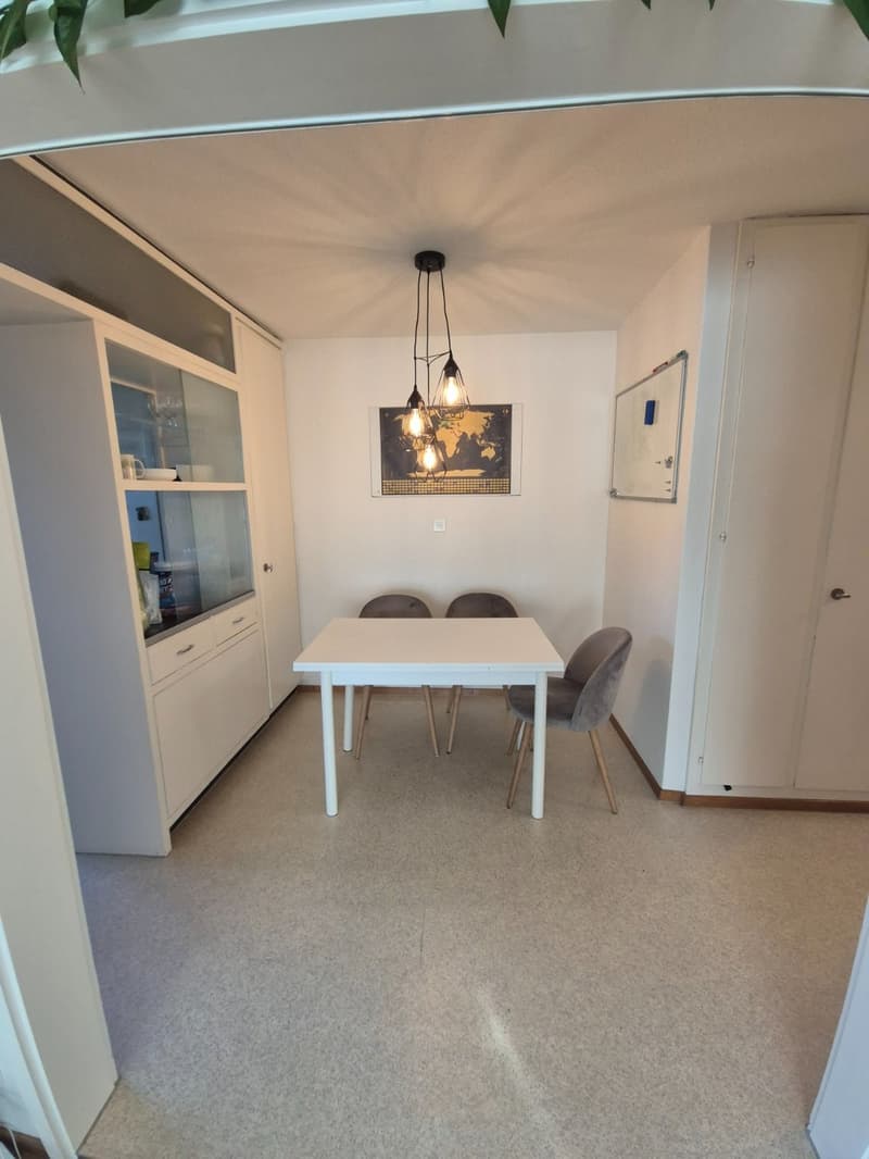 Helle 2.5-Zimmer-Wohnung mit Balkon in Adliswil  möbliert (5)