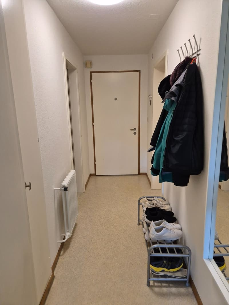 Helle 2.5-Zimmer-Wohnung mit Balkon in Adliswil  möbliert (8)