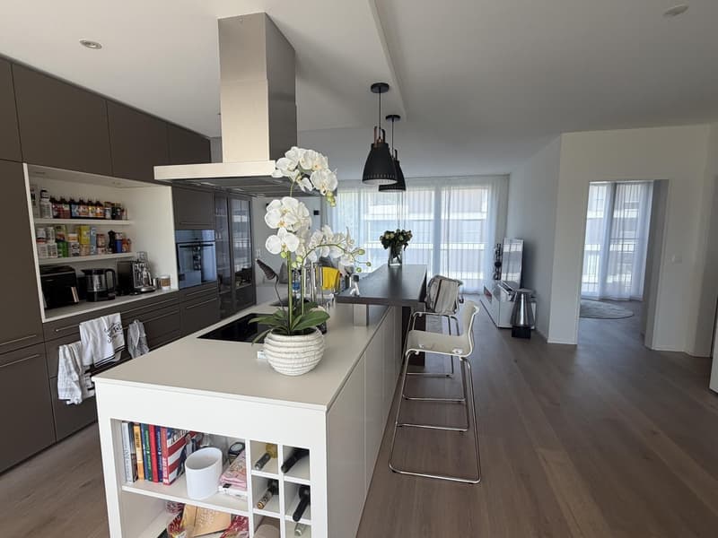 4.5-Zimmer-Eigentumswohnung mit Terrasse, 2 Einstellhallenplätzen und Grünlage (5)