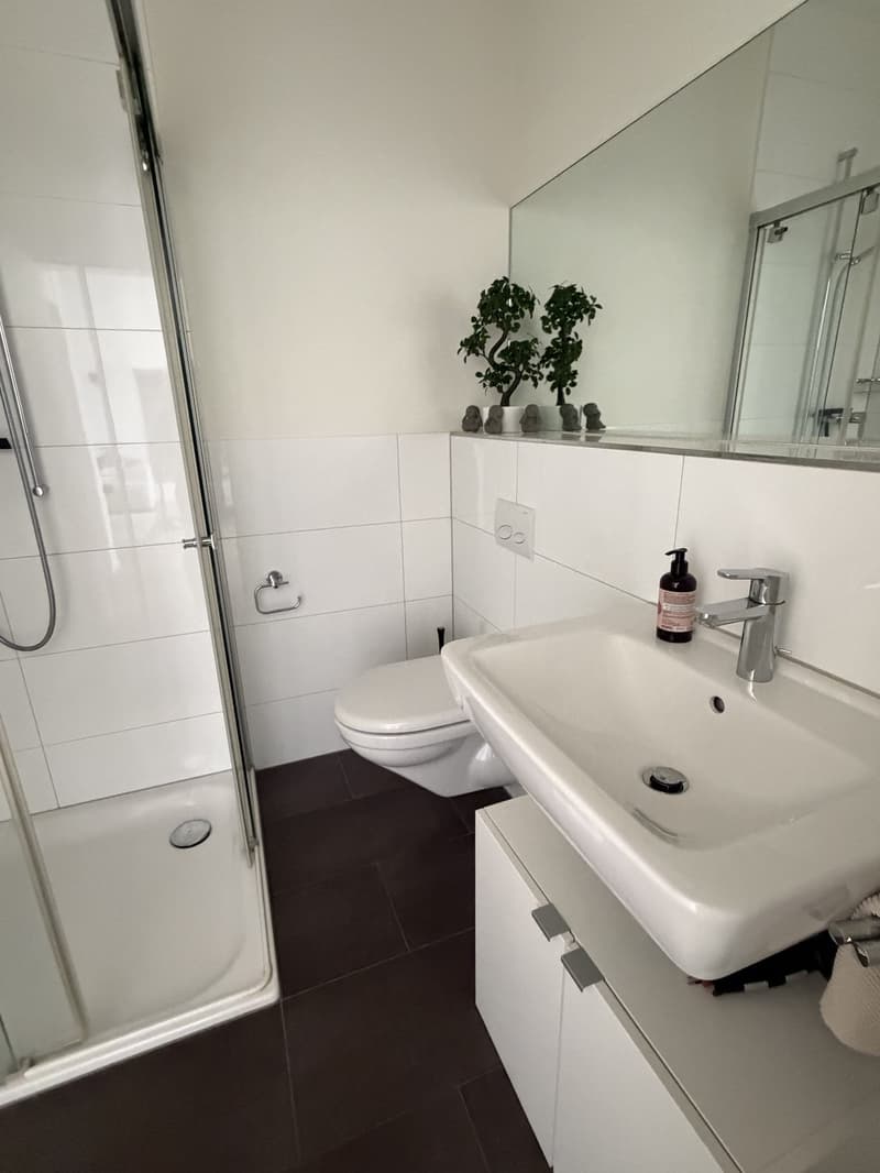4.5-Zimmer-Eigentumswohnung mit Terrasse, 2 Einstellhallenplätzen und Grünlage (7)