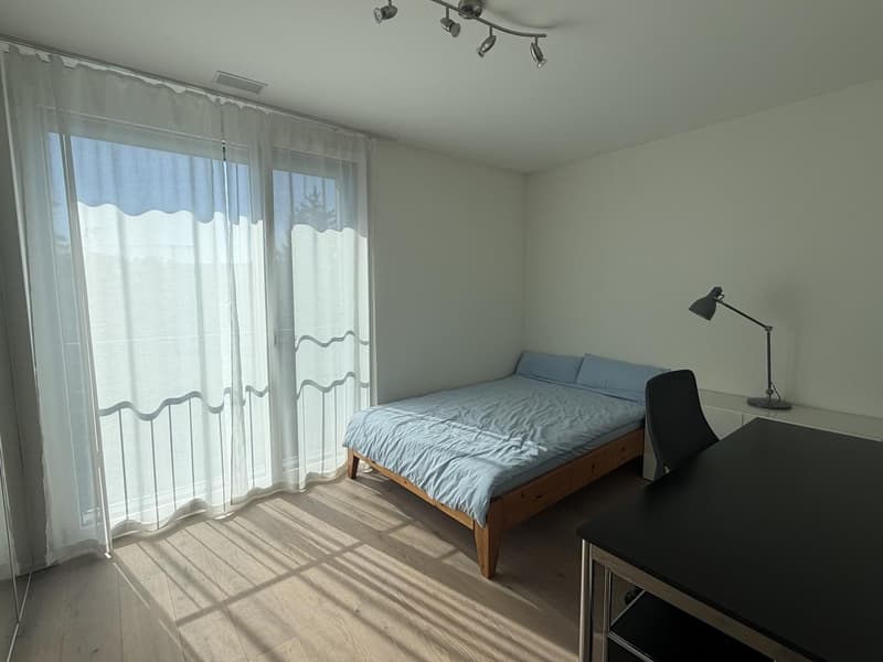 4.5-Zimmer-Eigentumswohnung mit Terrasse, 2 Einstellhallenplätzen und Grünlage (2)