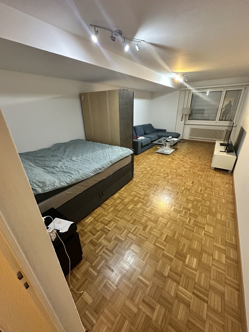Gemütliche Single-Wohnung mit moderner Küche Verfügbar ab 01.10.2026 (1)