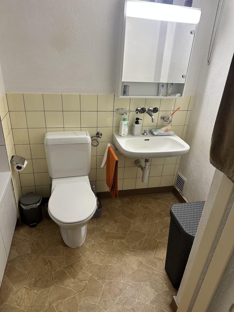 Gemütliche Single-Wohnung mit moderner Küche Verfügbar ab 01.10.2026 (3)
