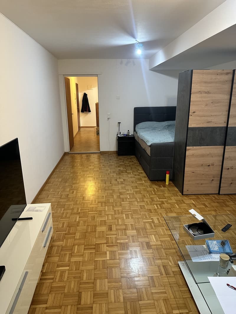 Gemütliche Single-Wohnung mit moderner Küche Verfügbar ab 01.10.2026 (7)