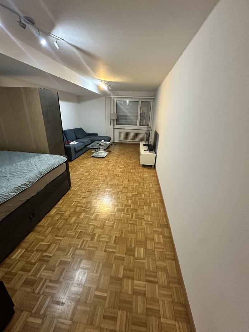 Gemütliche Single-Wohnung mit moderner Küche Verfügbar ab 01.10.2026 (5)