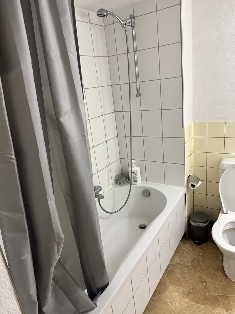 Gemütliche Single-Wohnung mit moderner Küche Verfügbar ab 01.10.2026 (2)