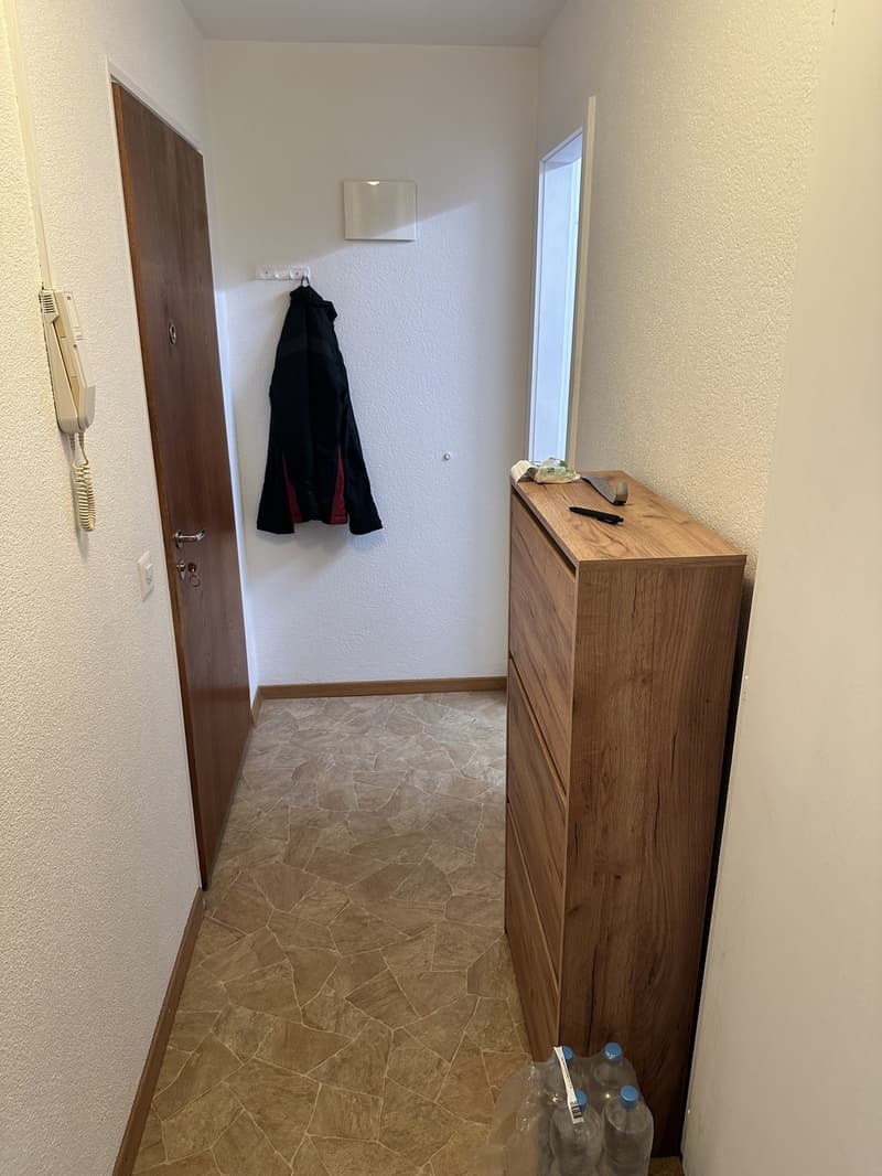 Gemütliche Single-Wohnung mit moderner Küche Verfügbar ab 01.10.2026 (6)