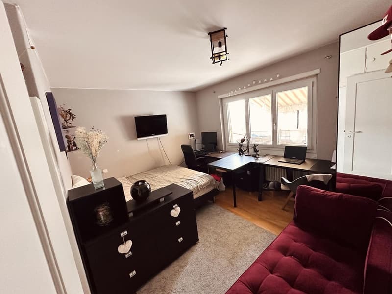Appartement 1 ½ pièces, 2502 Biel/Bienne (2)