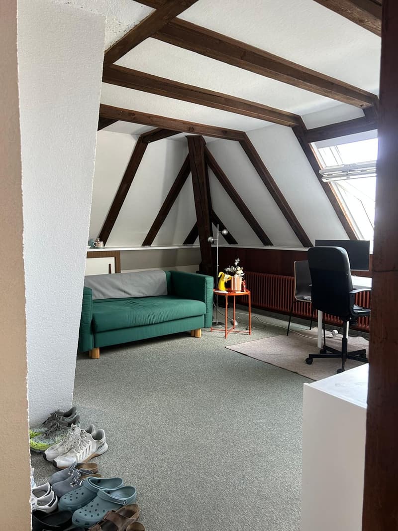 A furnished 2.5 apartment in Adliswil (Zurich land) is available from 1. October 2026 (3)