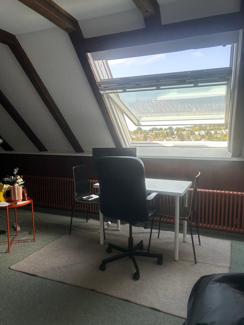 A furnished 2.5 apartment in Adliswil (Zurich land) is available from 1. October 2026 (2)