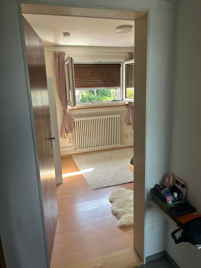 A furnished 2.5 apartment in Adliswil (Zurich land) is available from 1. October 2026 (10)