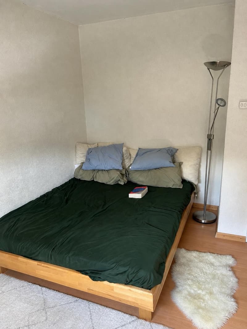 A furnished 2.5 apartment in Adliswil (Zurich land) is available from 1. October 2026 (9)