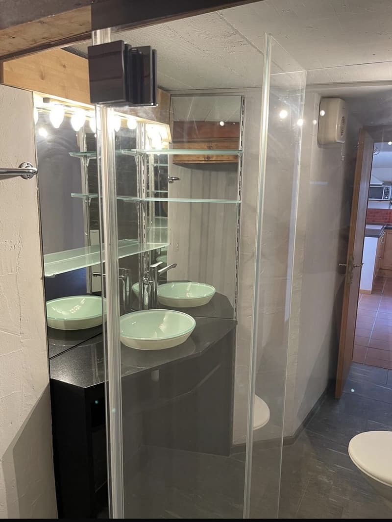 2 Zimmerwohnung in Zizers (11)