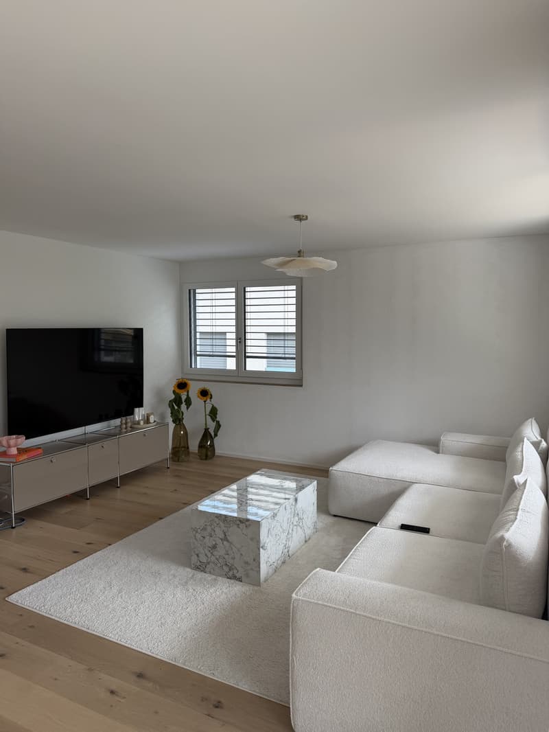 Neue 3.5-Zimmer-Wohnung in Näfels, Übernahme per sofort (2)