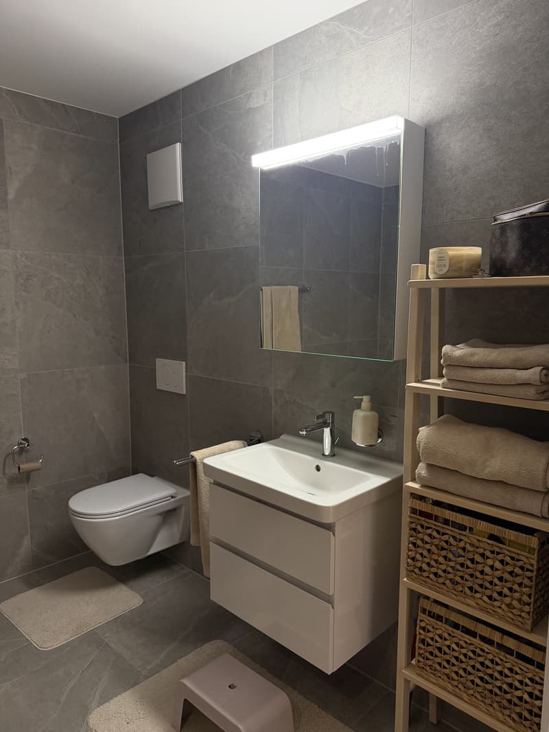 Neue 3.5-Zimmer-Wohnung in Näfels, Übernahme per sofort (9)