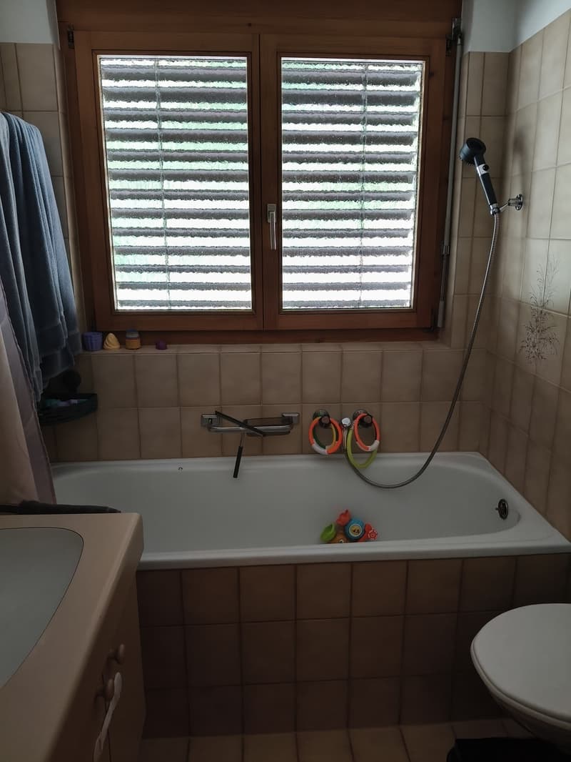 4 ½ Zimmer-Wohnung, 7204 Untervaz (11)