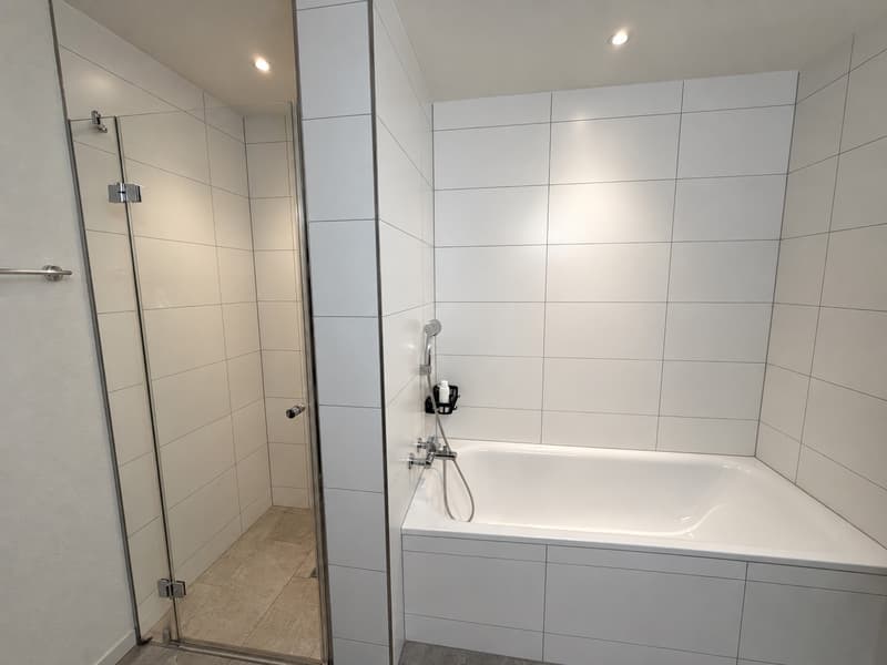 Moderne 3,5-Zimmer-Wohnung in Lenzburg Neubau mit Balkon (3)