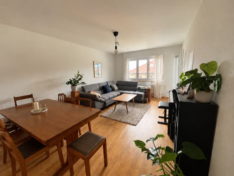Möblierte 2.5-Zimmer-Wohnung mit Balkon & Bergblick 5 Min. vom See (1)