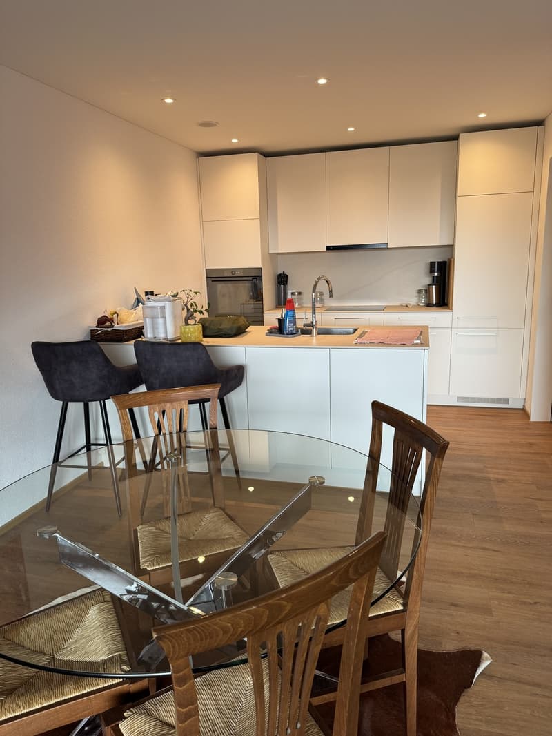 2.5 Zimmer Wohnung mit große Terrasse (7)