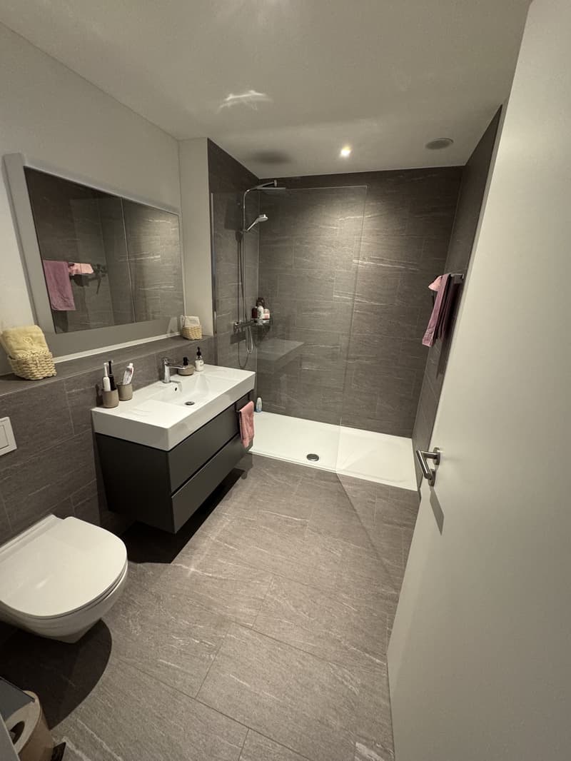 2.5 Zimmer Wohnung mit große Terrasse (2)