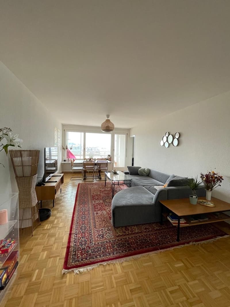 Room in 3.5 Wohnung WG (1)