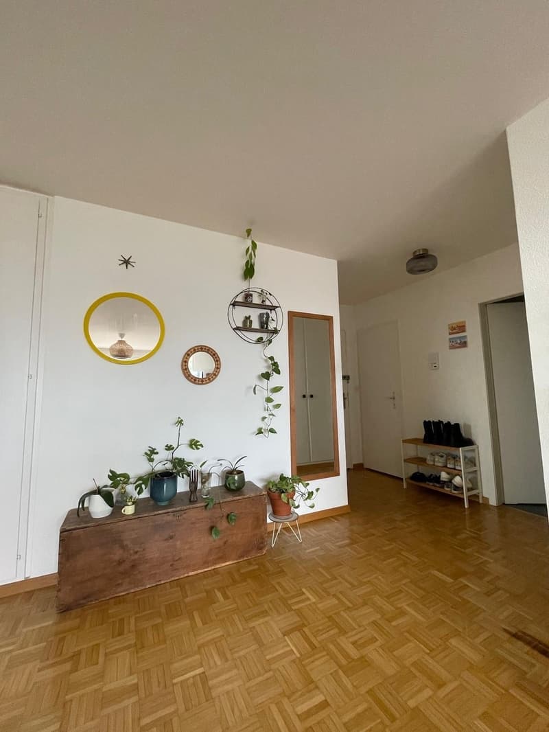 Room in 3.5 Wohnung WG (6)