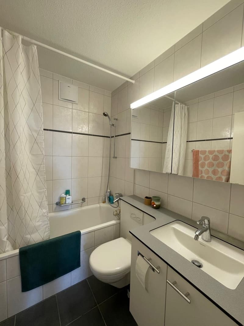 Room in 3.5 Wohnung WG (4)