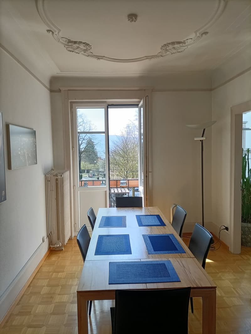 In Zürich, helles, teilmöbliertes Zimmer (18 m²) in zentraler Wohnung nahe ETH (3)