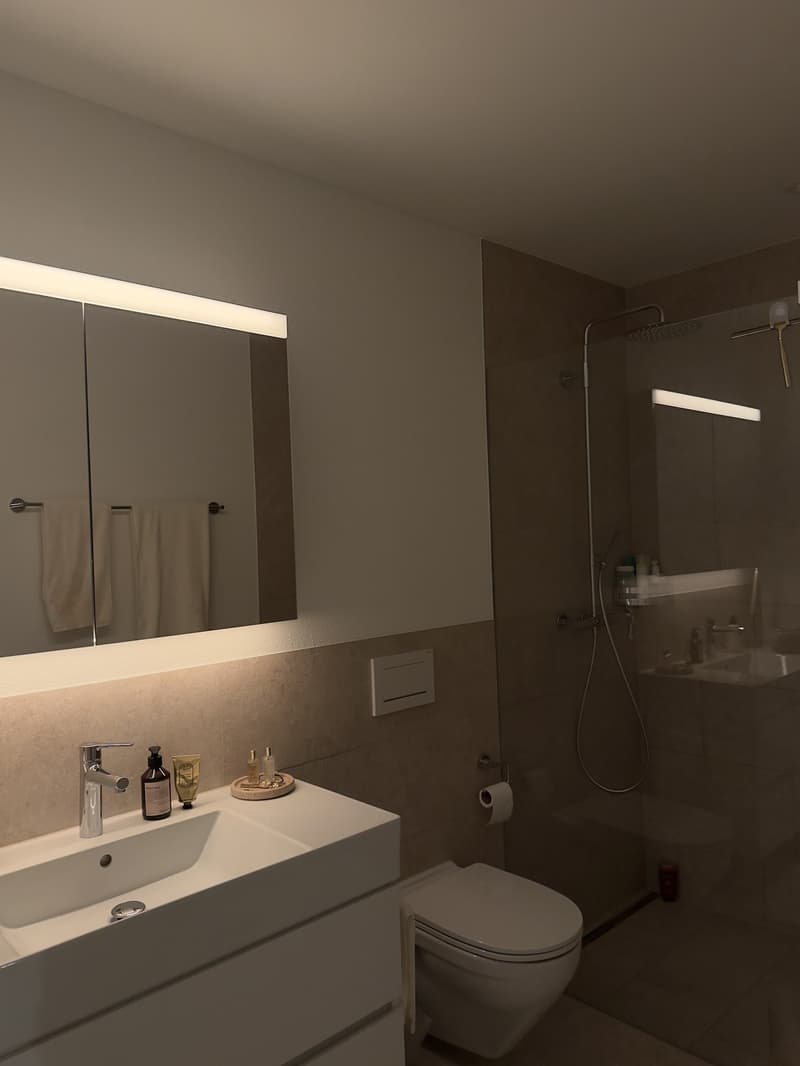 Neue und moderne, möblierte 3.5 Zi Wohnung (10)