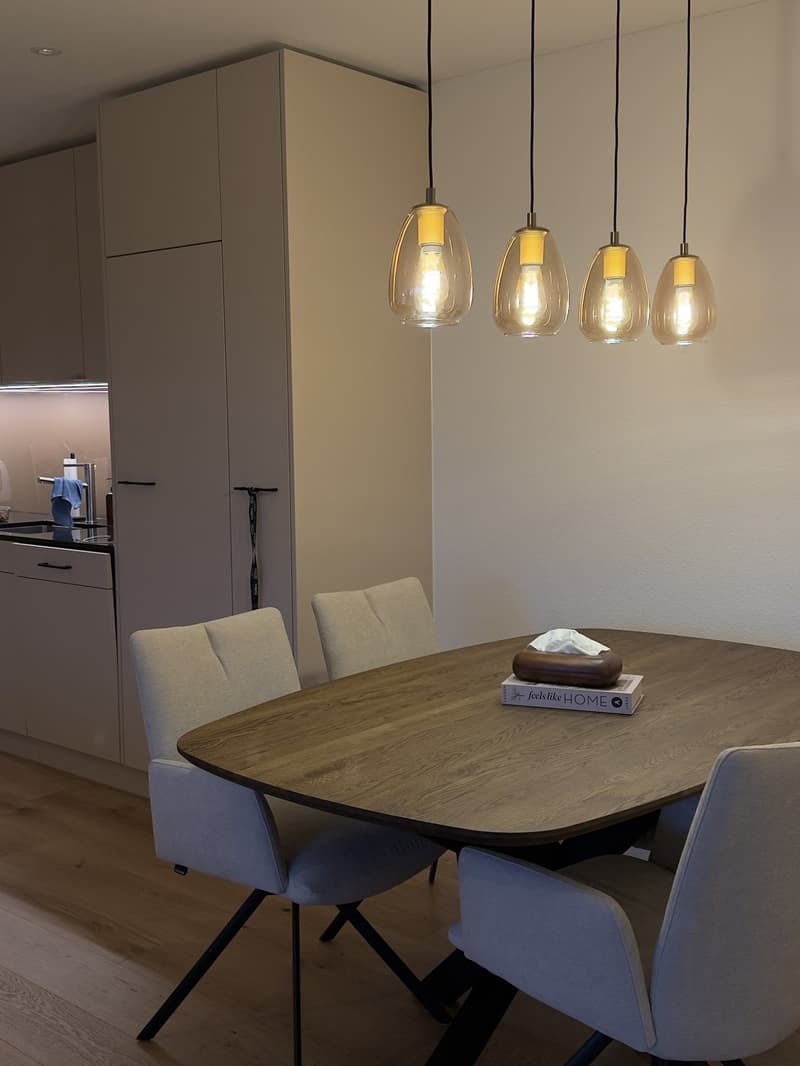 Neue und moderne, möblierte 3.5 Zi Wohnung (2)