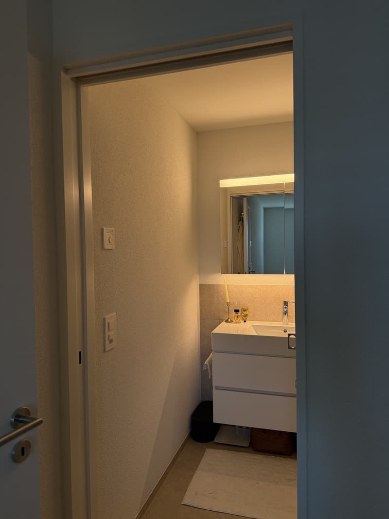Neue und moderne, möblierte 3.5 Zi Wohnung (9)
