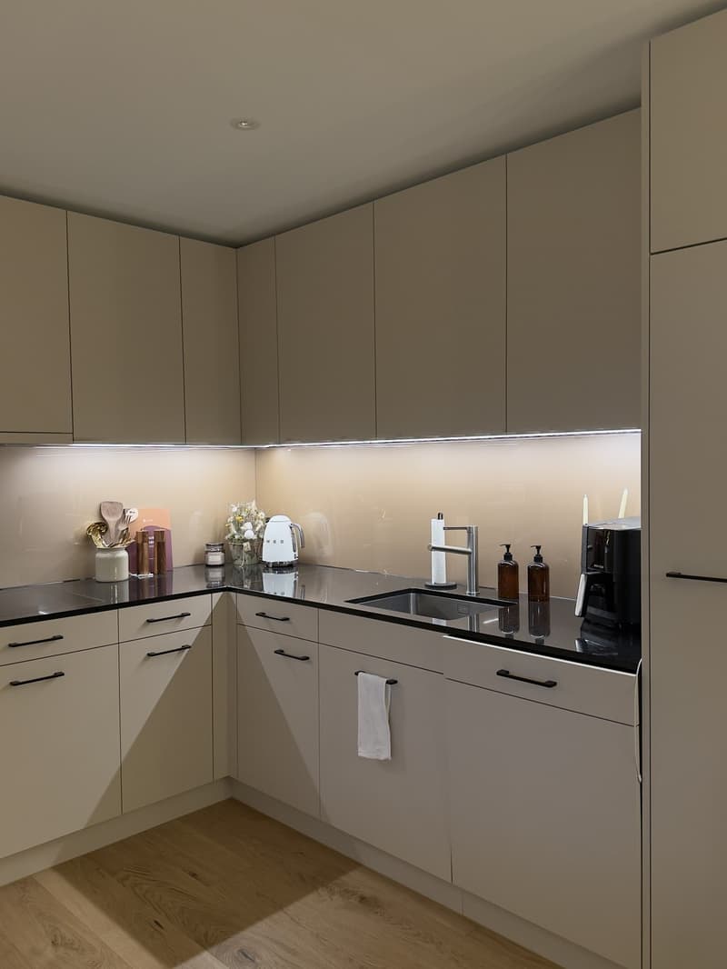 Neue und moderne, möblierte 3.5 Zi Wohnung (4)