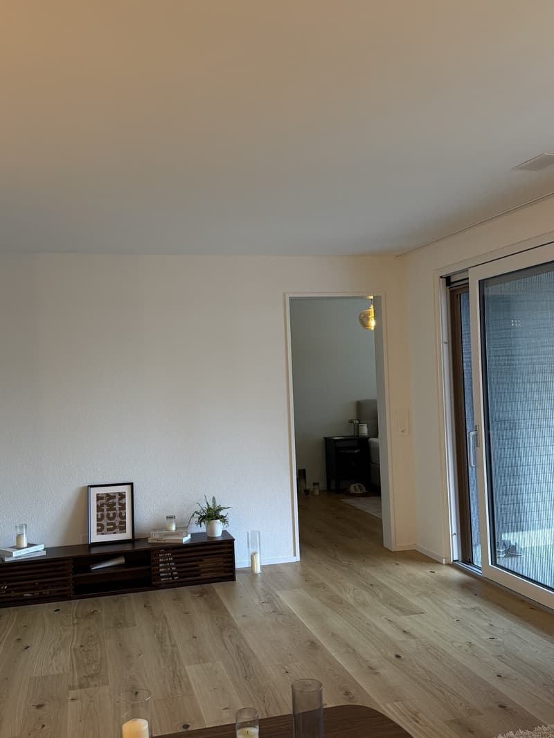 Neue und moderne, möblierte 3.5 Zi Wohnung (6)