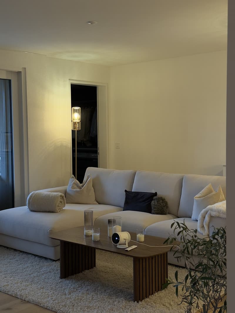 Neue und moderne, möblierte 3.5 Zi Wohnung (1)