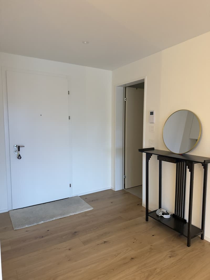 Neue und moderne, möblierte 3.5 Zi Wohnung (11)