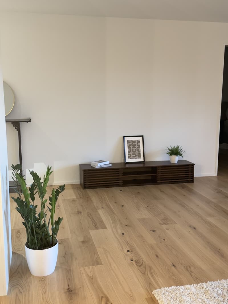 Neue und moderne, möblierte 3.5 Zi Wohnung (5)