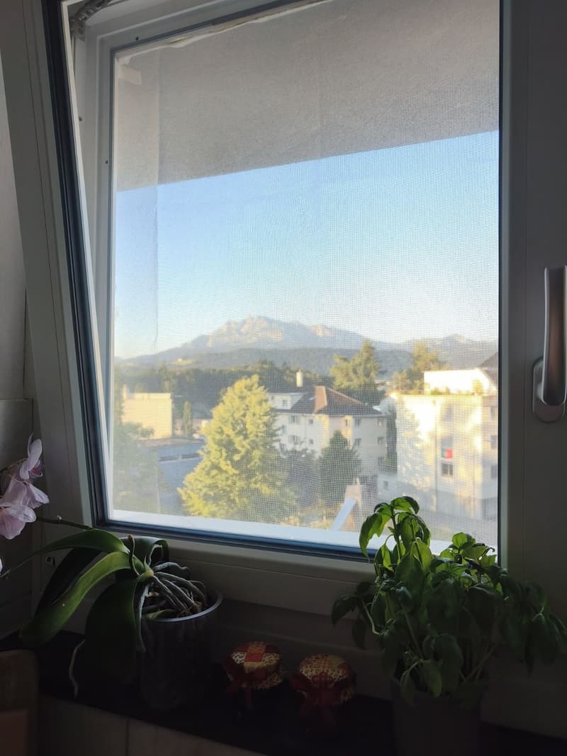 Attraktive 3.5-Zimmer-Wohnung in Emmen (7)