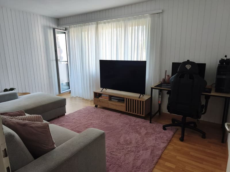 Attraktive 3.5-Zimmer-Wohnung in Emmen (1)