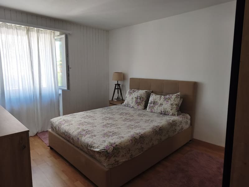 Attraktive 3.5-Zimmer-Wohnung in Emmen (5)