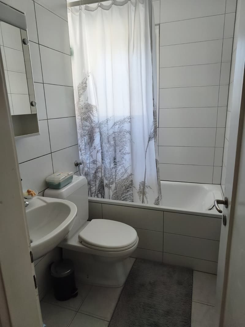 Attraktive 3.5-Zimmer-Wohnung in Emmen (4)