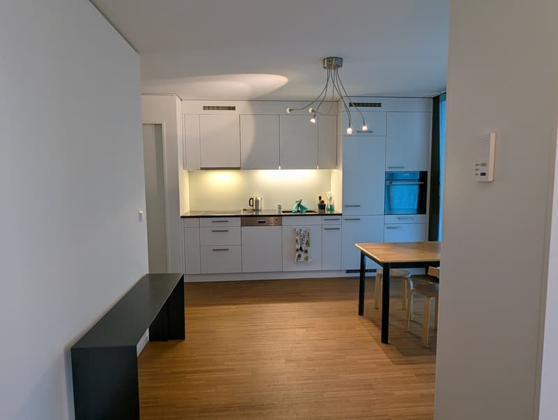 2 ½ rooms apartment, 8041 Zurich (3)
