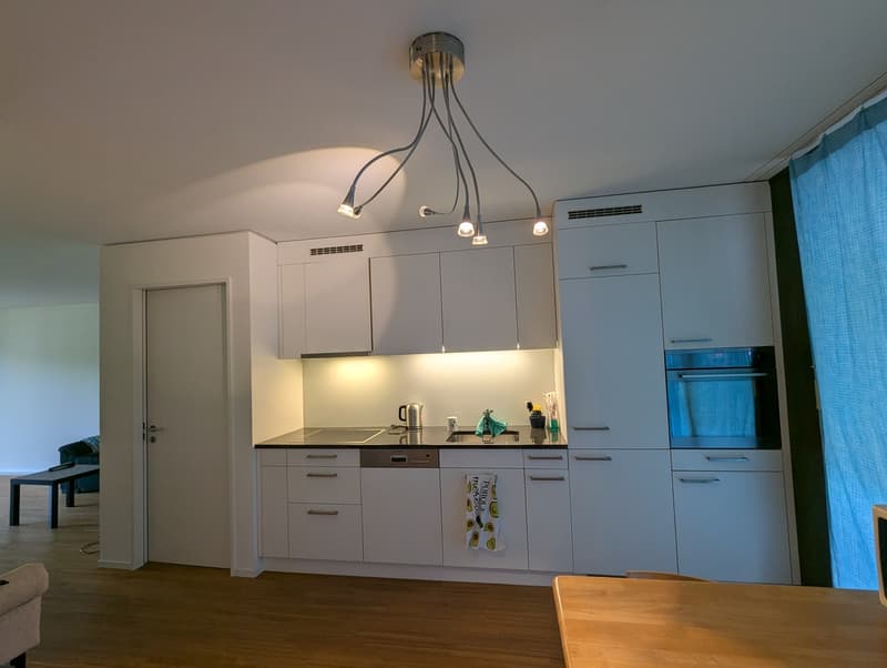 2 ½ rooms apartment, 8041 Zurich (4)