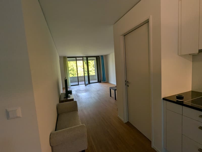 2 ½ rooms apartment, 8041 Zurich (8)